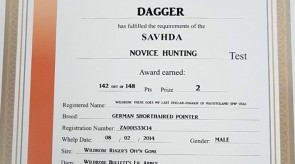 DAGGER_SAVHDA_Certificate.jpg